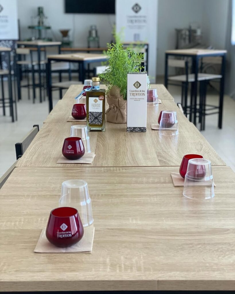 talleres para grupos cata de aceite de oliva