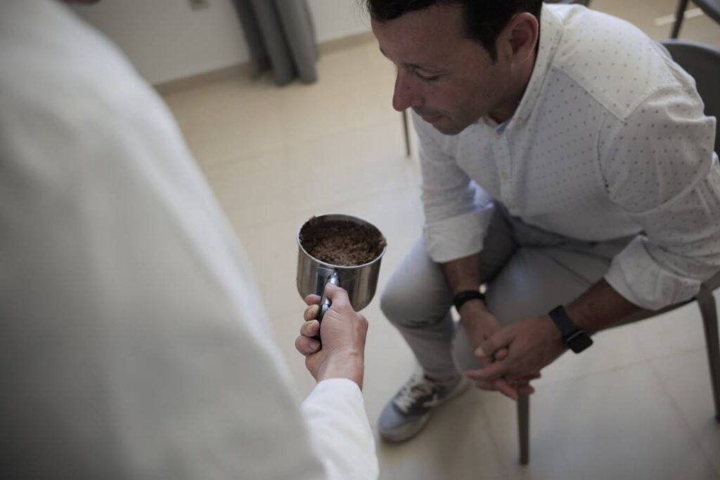 talleres para grupos producción de aceite de oliva