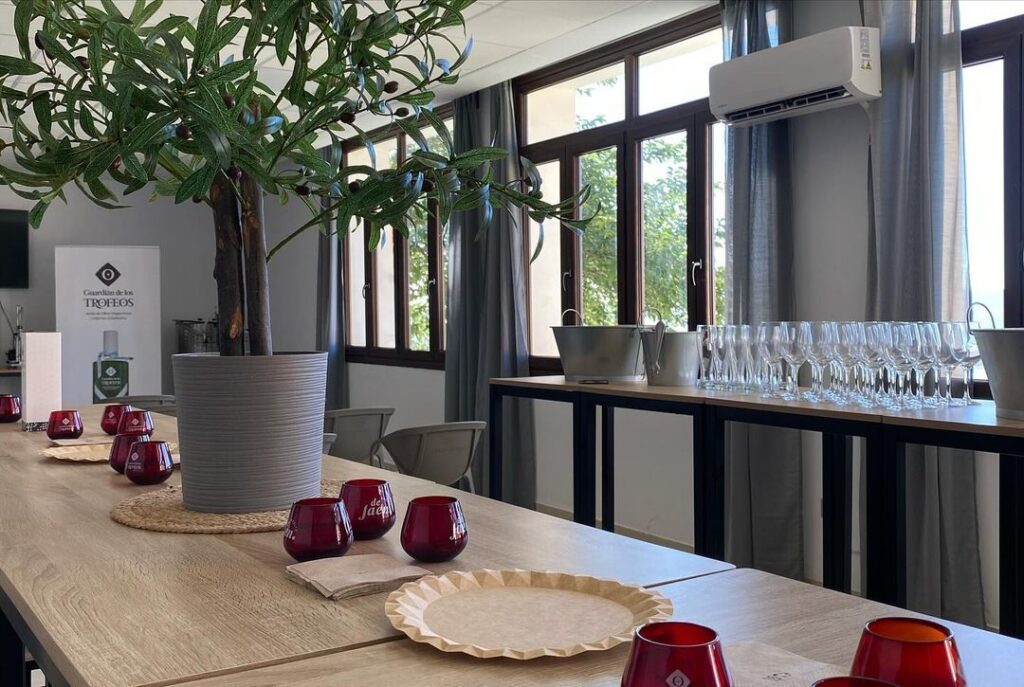 talleres cata y producción de aceite de oliva